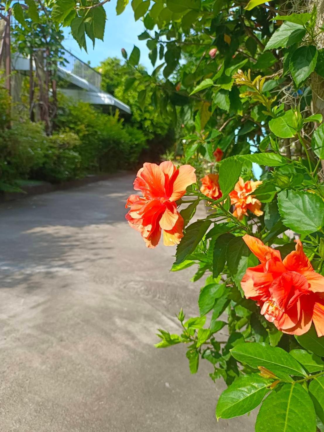 Phannarai House ラマイビーチ エクステリア 写真